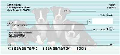 Boston Terrier Pups Keith Kimberlin Personal Checks