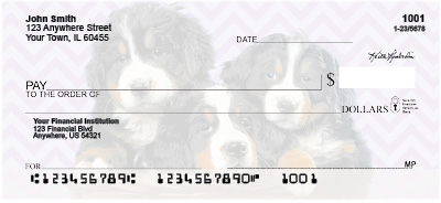 Bernese Mountain Dog Pups Personal Checks