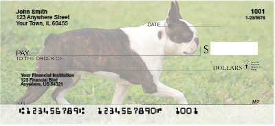 Boston Terrier Personal Checks