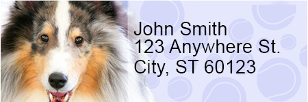 Collie Pups Keith Kimberlin Address Labels