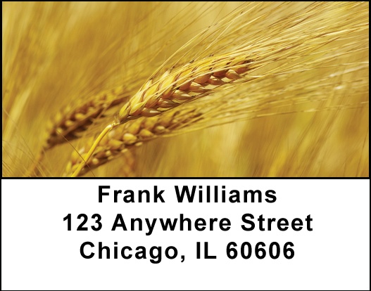 The Grain Harvest Address Labels
